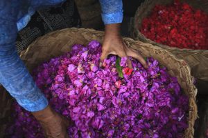Flower-Petals-and-Hands-in-an-Old-Wicker-Basket-Bali-000042407720_Medium-300x200